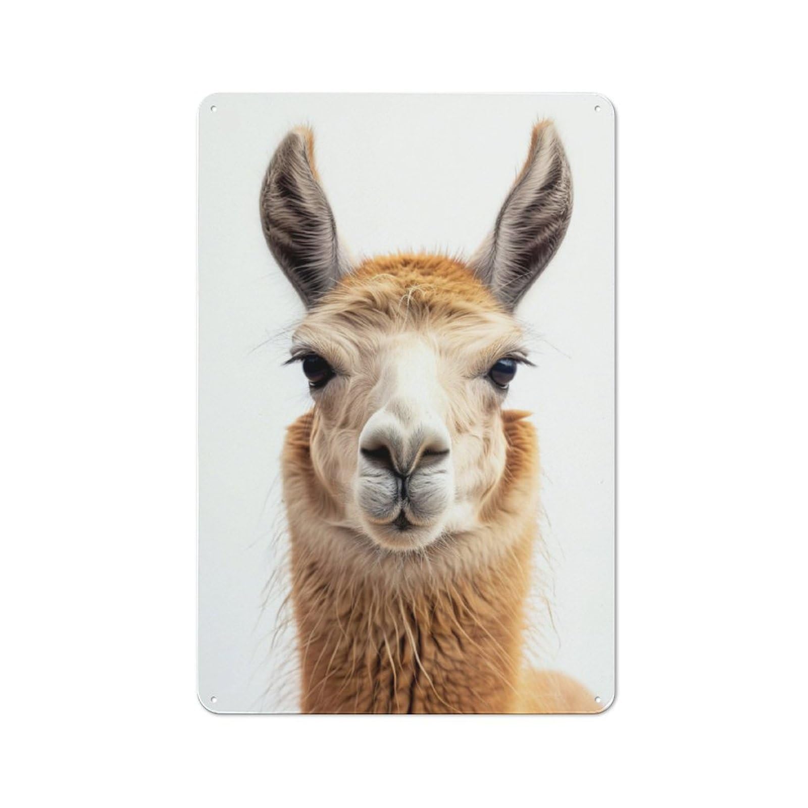 Junmoney Llama Face Retro Printed Metal Sign 30X20cm For Kitchen Or Home Bar, For Garage, Workshop And Man Cave Decoration