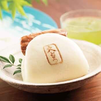 61d2T6eHHnL._AC_UF350,