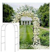 Algopix Similar Product 1 - Adorox 75Ft 1 Set White Metal Arch