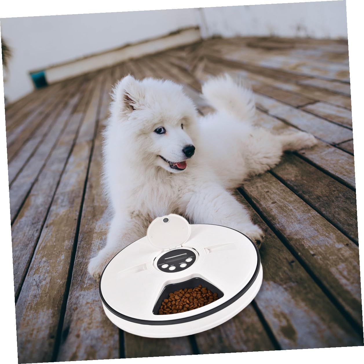 Distributore Automatico Cibo Cani Timer 6 Pasti 90g Abs Nero
