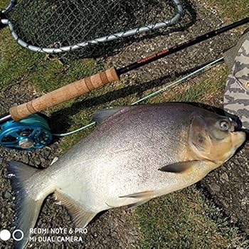 Amazon | M MAXIMUMCATCH Maxcatch Skytouch 両手スイッチ＆spey