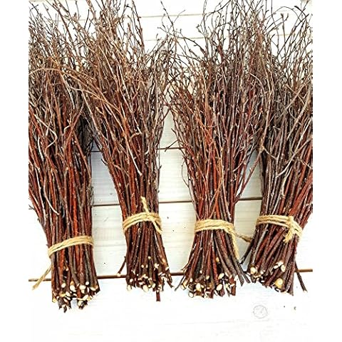 200 pcs. 100% Natural Birch Twigs for centerpieces, for Crafts, Set of 4 Bundles. [ECOWOODDECOR] Birch branches for vase decoration, DIY, Wedding decoration birch twigs Cover