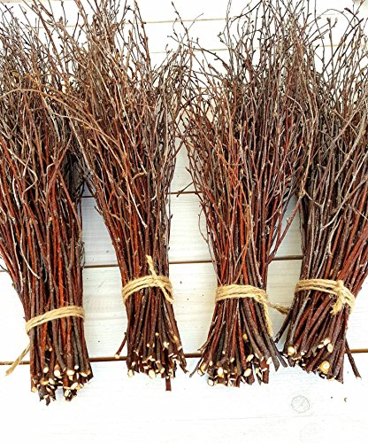 200 pcs. 100% Natural Birch Twigs for centerpieces, for Crafts, Set of 4 Bundles. [ECOWOODDECOR] Birch branches for vase decoration, DIY, Wedding decoration birch twigs