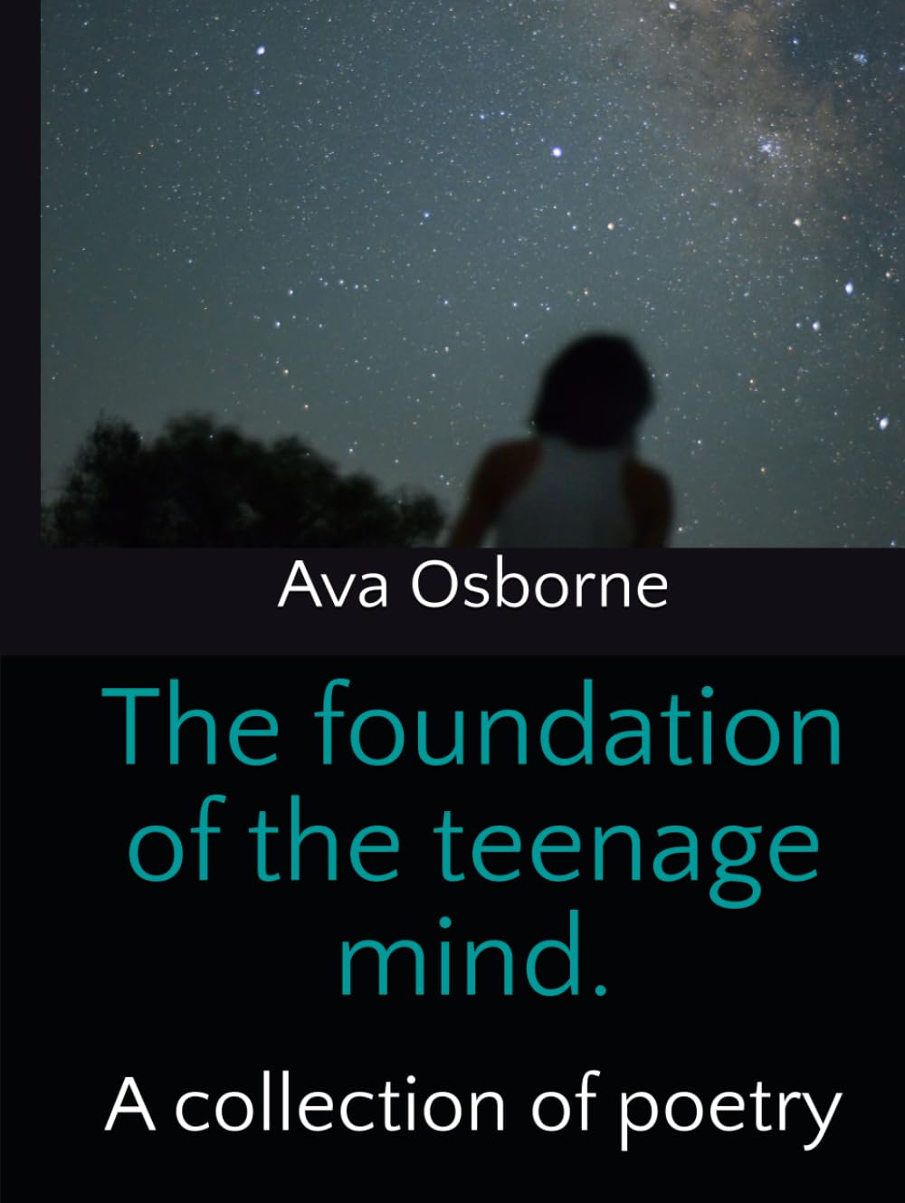 The foundation of the teenage mind.: A collection of poetry