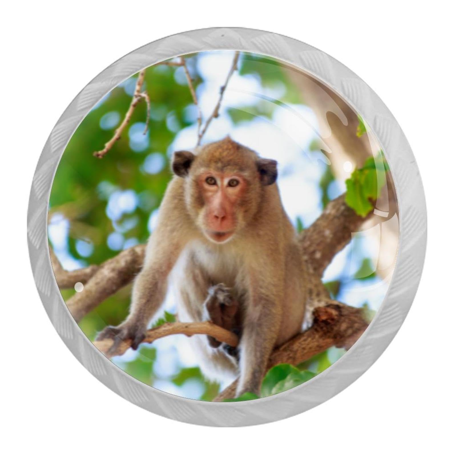 Tqmspg 4 Pieces Drawer Pulls Forest Animal Monkey Door Knobs Dresser Handles for Kitchen Wardrobe Cupboard Hardware Furniture