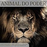 tambor chamanico dakota  Tambores Xamânicos
