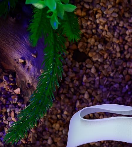 Miniatura 10 de Chatelet REEFSHAPE - Túnel de visualización abstracto de acuario  Escondite de peces y camarones de diseño ondulado  Túnel debajo del sustrato