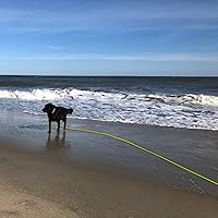 Vista 6 de Correa larga impermeable duradera para entrenamiento de retiro de perros, ideal para senderismo al aire libre, entrenamiento, patio, playa y Amarillo