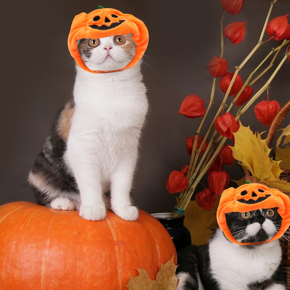 Gorro De Calabaza Para Perros Y Gatos - Disfraz Ajustable De Halloween Para Mascotas, Divertido Y Cálido