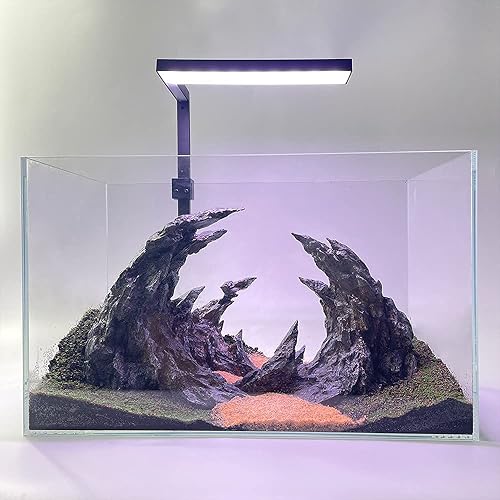 Miniatura 7 de SINQORCN - Alma cañón para acuario (lámpara acuática)