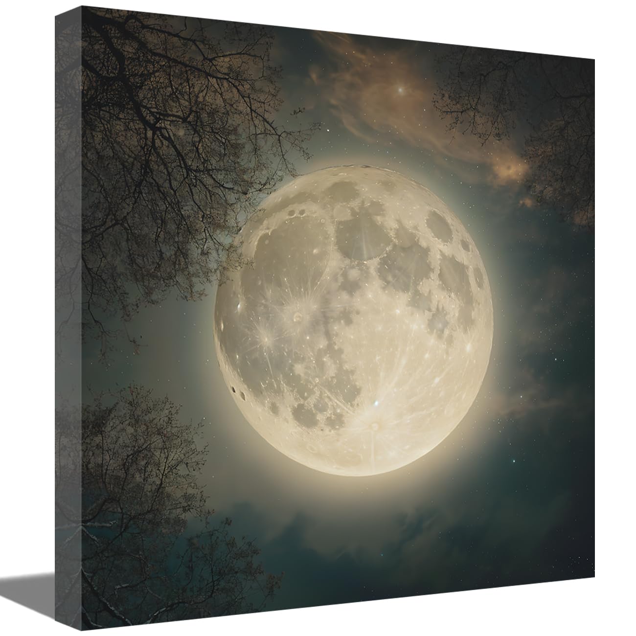LMYSXAOZ Moon Canvas Wall Art Large Full and Stars Tree Branch Pictures Prints Astronomy Nature Painting Scenery Home Decor (Moon-B,20.00" x 20.00")