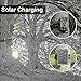 Solar Trail Camera,Deer Trail Hunting | Solar Charged | 46Pcs IR LEDs | 16 MP | 1080p | 2.4