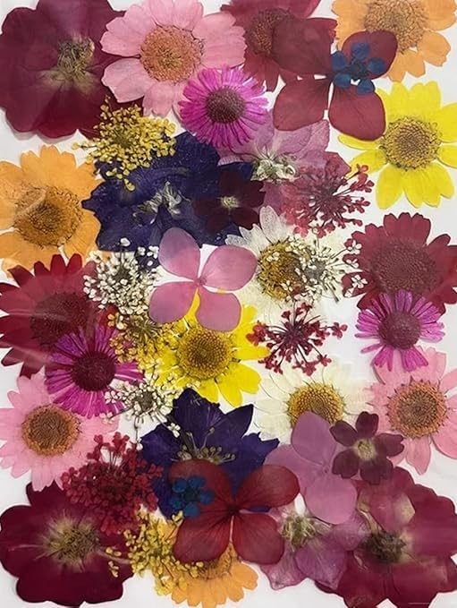 Natural Dried Pressed Flowers, Multi Color Mixed Daisies for Resin Art, Candle Making, Jewelry Craft, Nail Art, DIY Decorations, Blue (Purple)-image-3