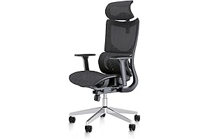 Ergonomic Office Chair with Customizable Comfort