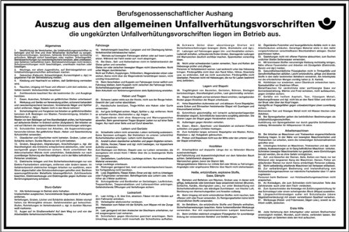 LEMAX® Aushang, Auszug aus den allgemeinen Unfallverhütungsvorschriften Kunststoff 450x300mm