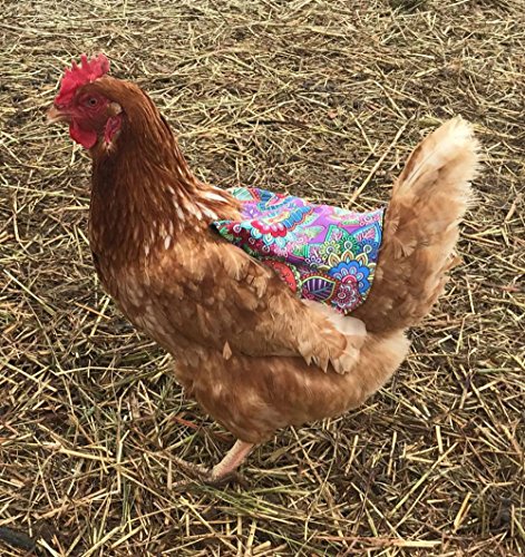 Twisted 2 Perfection Reversible Standard Size Chicken Saddles Hen Aprons (Blue & Purple Set of 2)