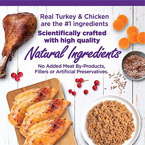 Image of Wellness Complete Health Pate Variety Pack Adult Canned Wet Cat Food, Natural, Protein Rich, Grain Free, Chicken and Turkey Favorites, 5.5 oz, Pack of 12 Cans