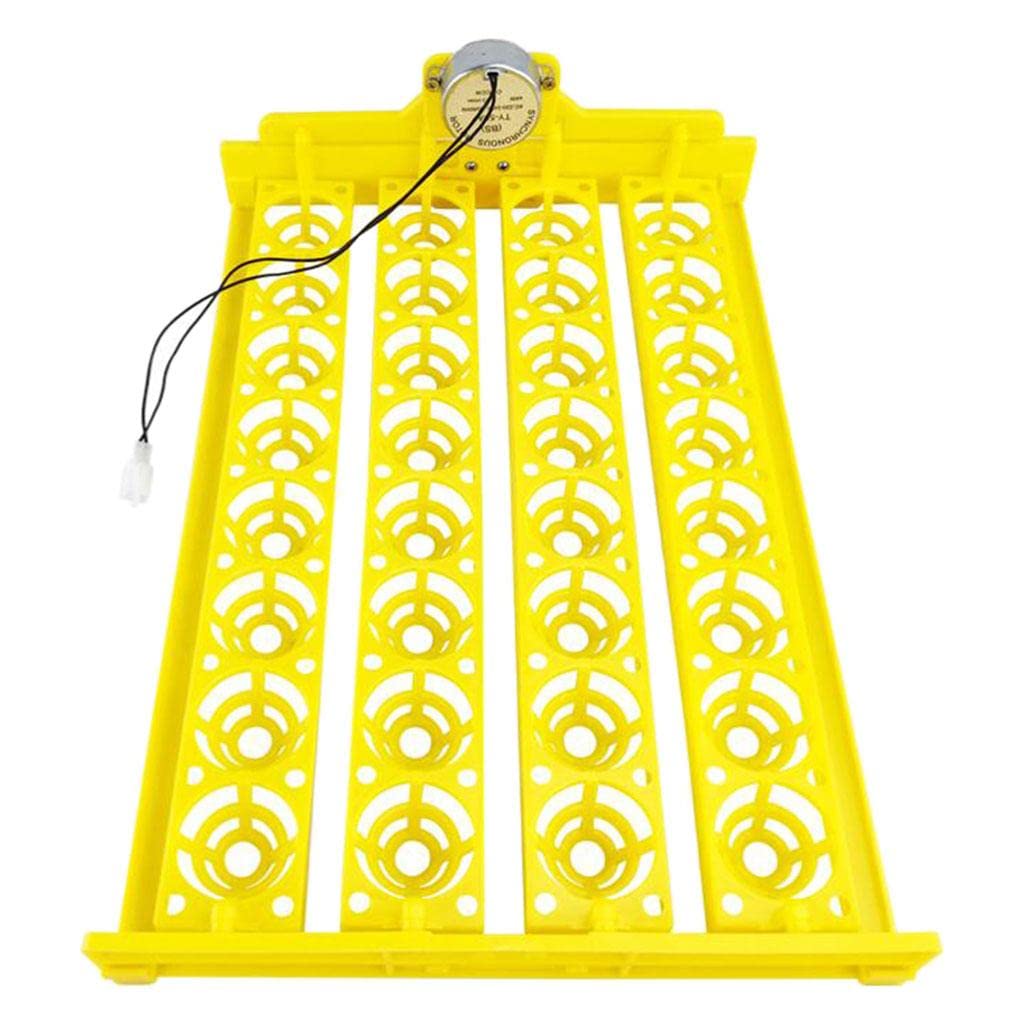 Plateau pour 32 œufs d'incubateur automatique : accessoires d'incubation de volaille.