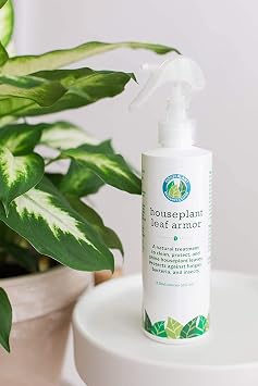 Houseplant Care Bundle