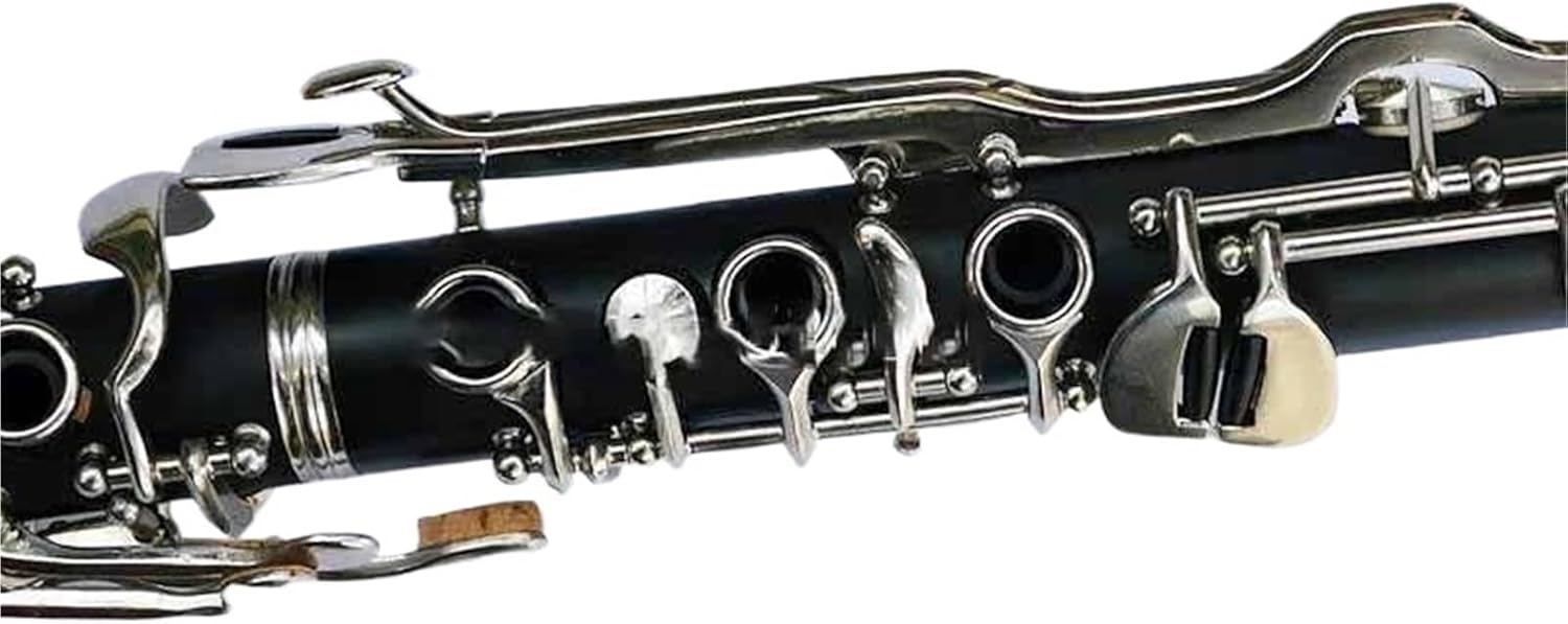 17 Keys G Tune Clarinet Bakelite Or Ebony Wood Solid Sliver Keys With Case(Ebony Wood)