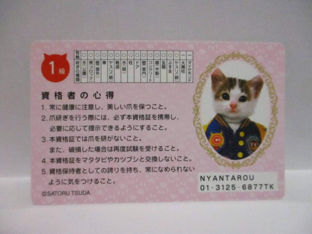 Amazon Co Jp なめ猫 なめんなよ 爪研ぎ検定合格証書 ニャン太郎 ホビー 通販