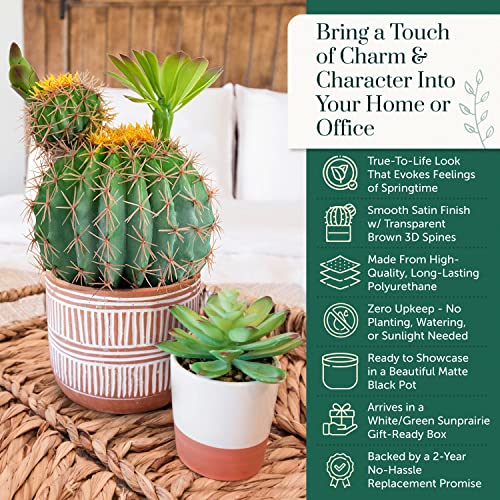 Sunprairie 14” & 30” Tall Rustic Artificial Cactus In Bloom With Soft Spines —Plant Decor Including Attractively Matching Matte Black Pot—Gorgeous Artificial Succulent Plants. #TOP3