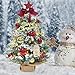 DEWUR 2ft / 24 inch Tabletop Christmas Tree with LED Lights - Small Artificial Mini Tree for Christmas Decorations (Red with Snow)