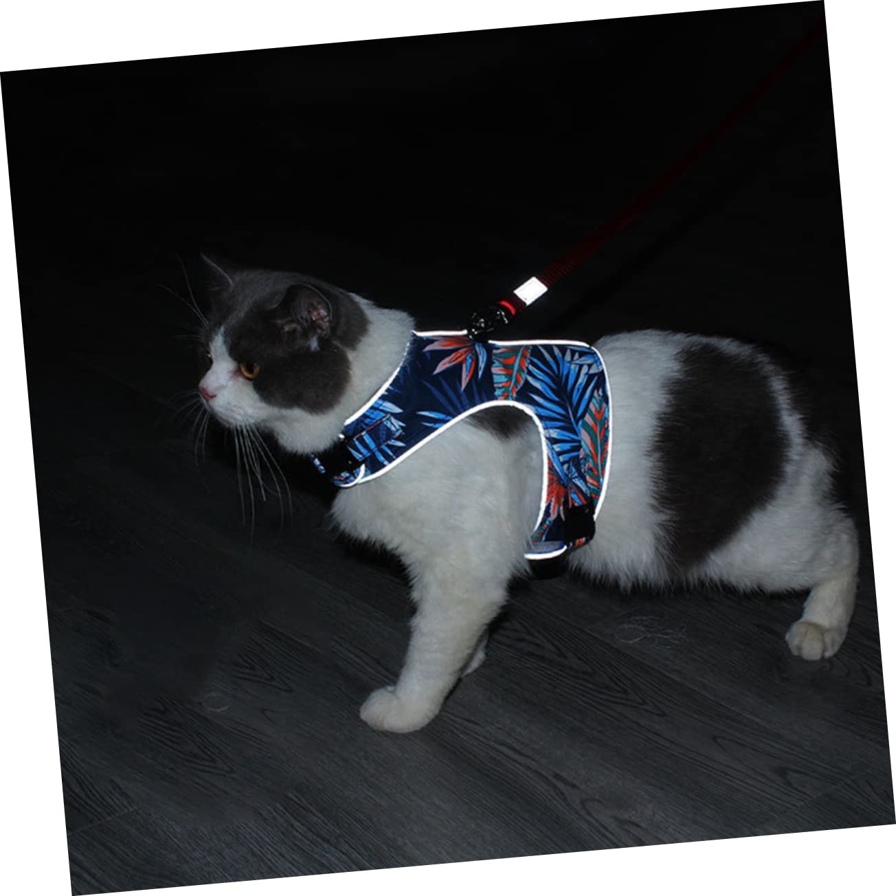 Toddmomy 2juegos Arnés Antiescape para Gatos Arnés Reflectante y Transpirable Correa y para Paseo Seguro Profundo