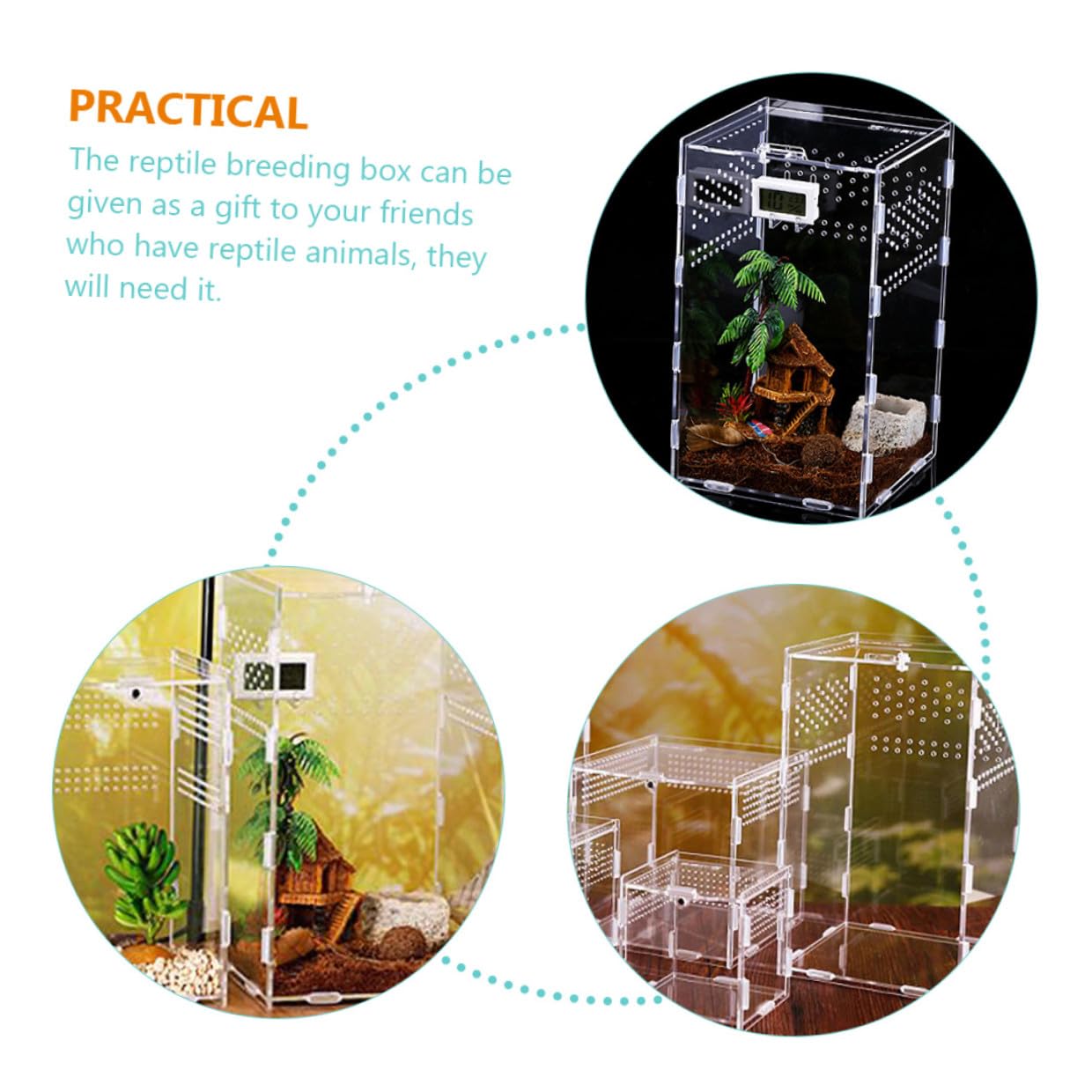 SEWACC Transparenter Reptilien Haustierbehälter Acryl Terrarium Zuchtbox 15x15x25cm für Reptilien Amphibien Beobachtung