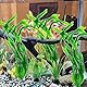 WZTCIBUR Aquarium Wasserpflanzen 10 Stück Aquarium Pflanzen Künstliche Grüne Wasserpflanzen Seetang Kunststoff Pflanzen Aquarium Dekoration für Aquarien Alle Fische Sicher
