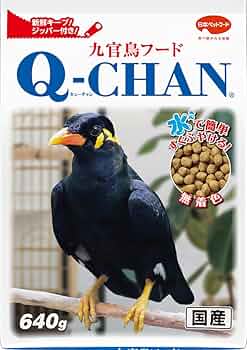 【ゆうちゃん】鳥の餌セット 61d37o0kFQL._UF350,350_QL50_.jpg