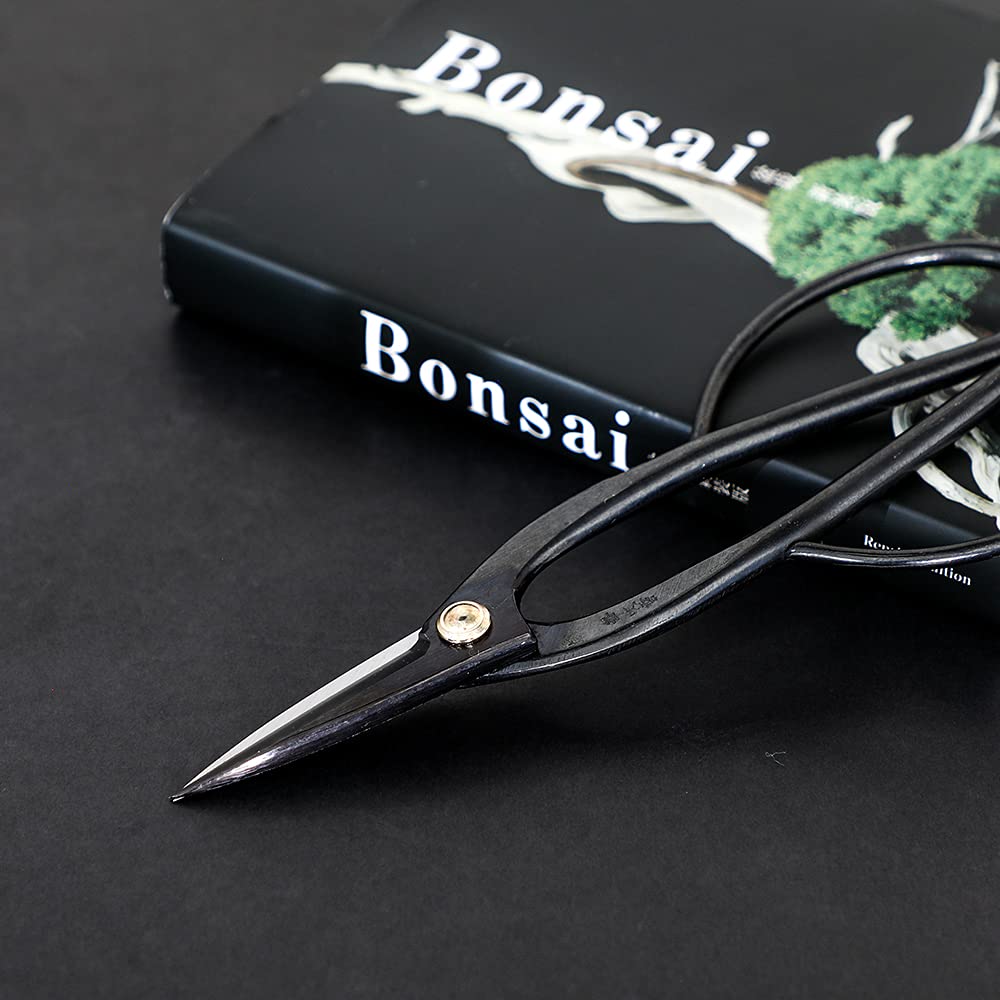 Wazakura Kit Outils Essentiels pour Bonsaï et Jardinage Japonais Fabriqué au Japon, Ciseaux à Bonsaï Ashinaga 200mm avec Coupe Branches Concave 200mm, Débutants et Confirmés