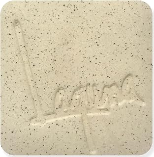 Laguna Clay | Cone 5 | B Mix with Speckles WC408 (10 lb)