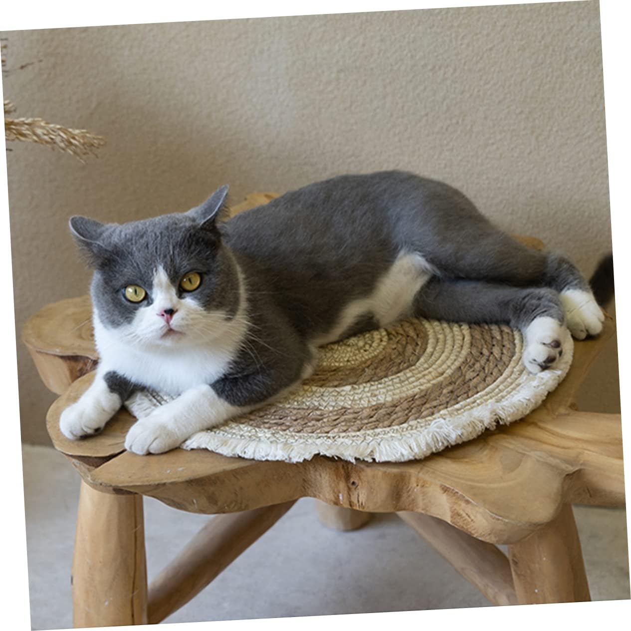 VOSAREA 1pc Comfortable Knitting Cat Litter Pad Natural Corn Woven Mat for Cats Breathable Stylish Design for Indoor Use and Supplies