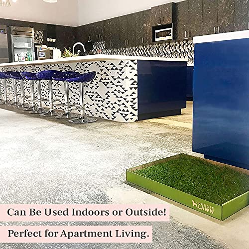 Doggielawn Real Grass Puppy Pee Pads- 24 X 20 Inches - Perfect Indoor Litter Box For Dogs - No Mess, Easy-To-Use - Potty Training For Pets - Eco-Friendly Disposable Bathroom With Real Living Grass #TOP6