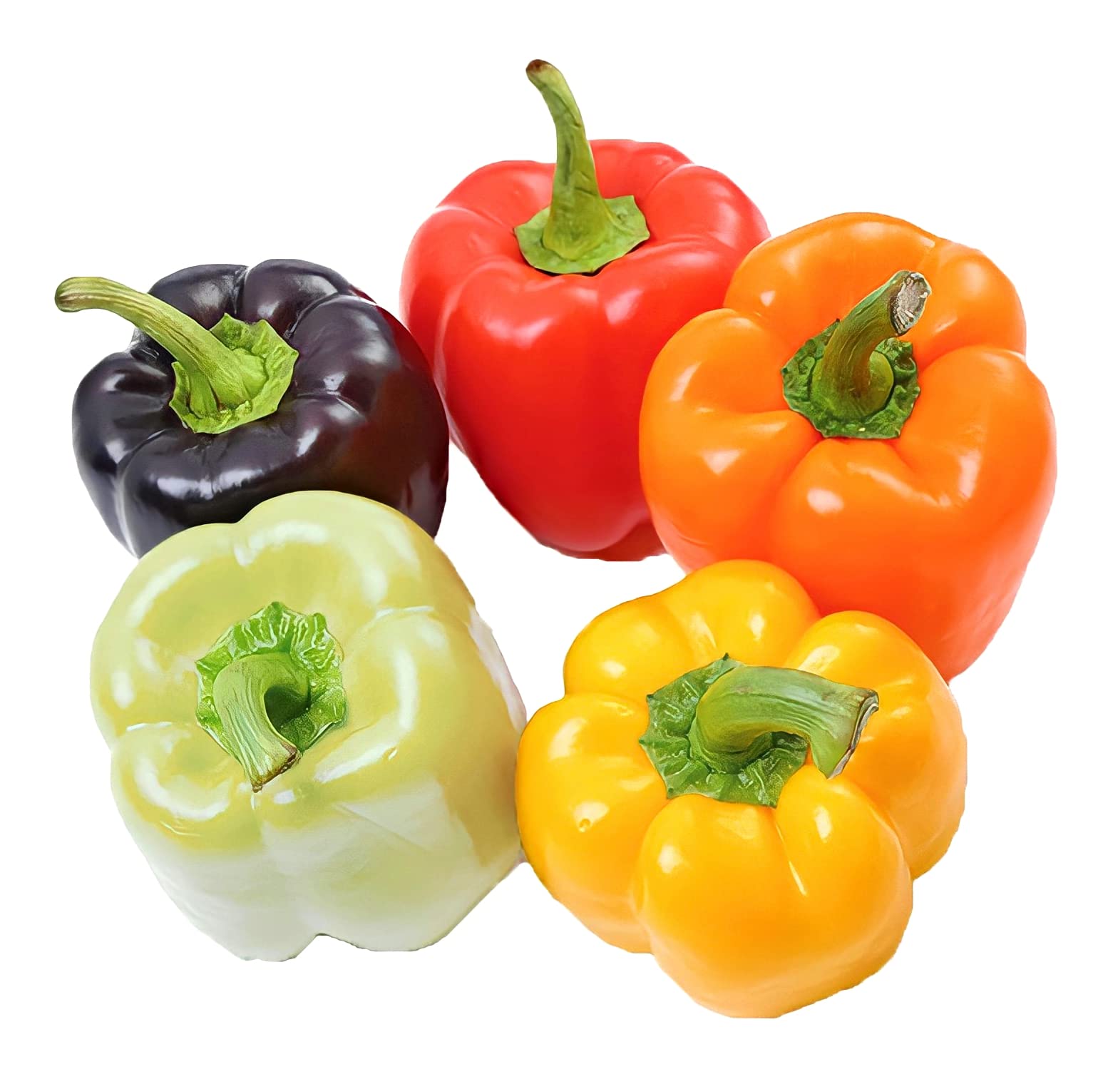 Amazon.co.jp: ウクレレ園芸SHOP ☆カラフルパプリカ☆ 種子0.5㎖(約25