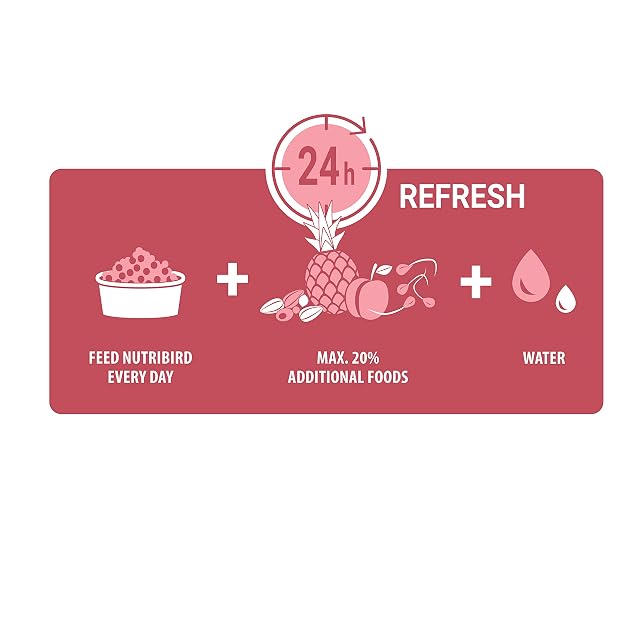 Foto 4 de 7 de VERSELE-LAGA - NutriBird P15 Tropical - Granulado extrusionado - Alimento de Mantenimiento para Loros
