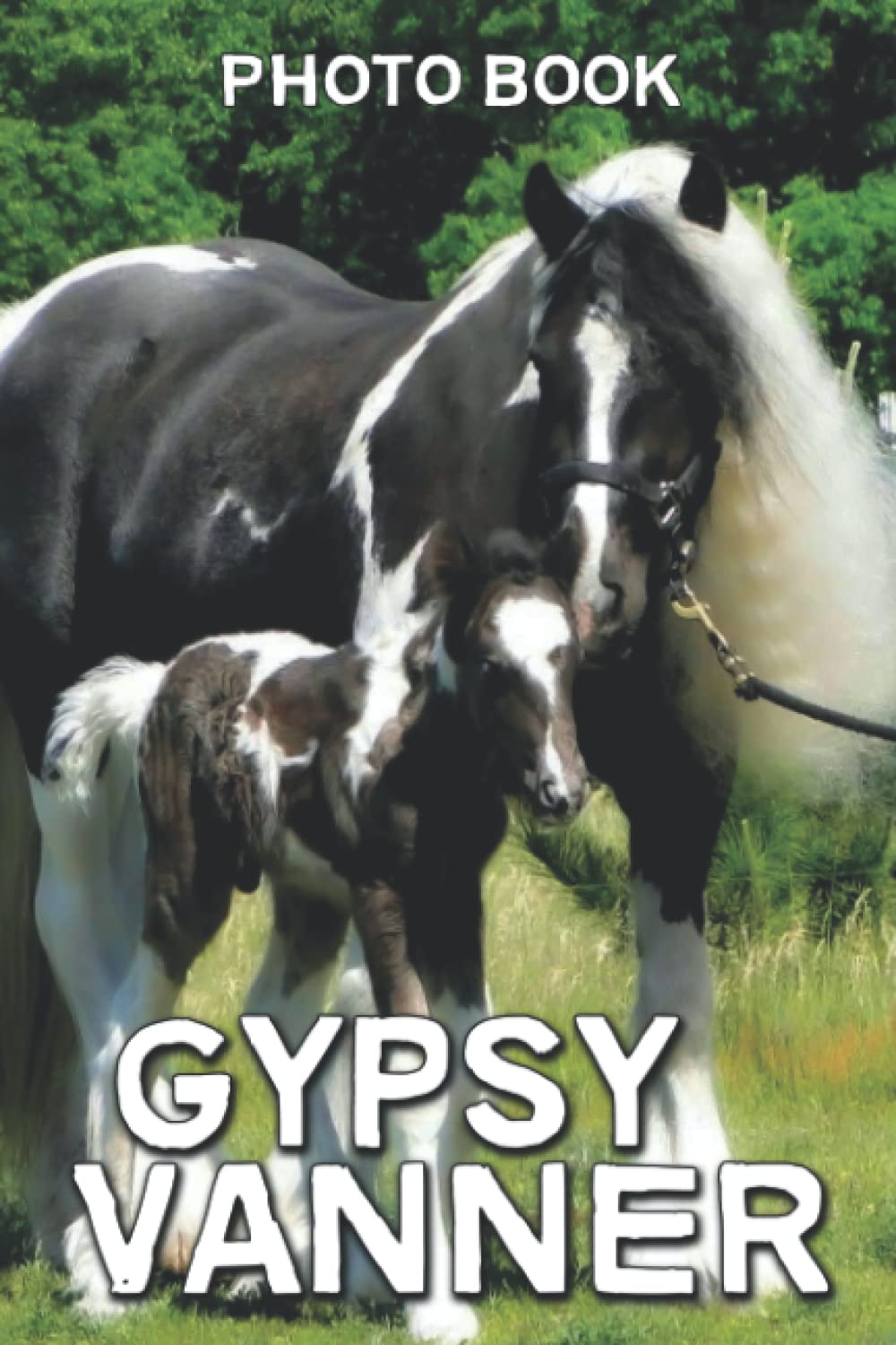 Gypsy Vanner Photo Book: Horse Hi-res Stock Photography For Kids Adults To Relax | Must-Have Gifts For Animal Lovers