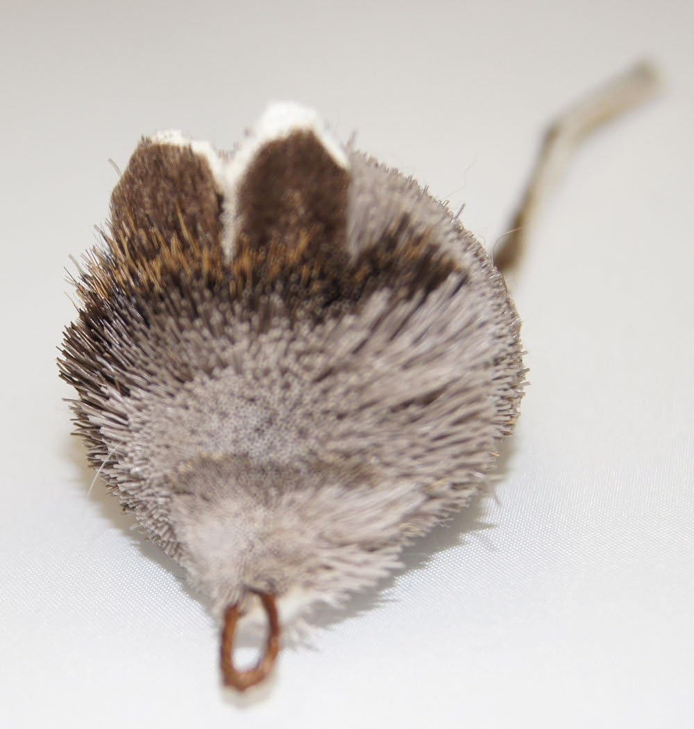 CoolCyberCats Fun Rat Pack 3 Pack of Mice Mouse Refill/Attachment - Fits Wildcat and Popular Bird and Catcher Type Wands/Poles : Pet Supplies