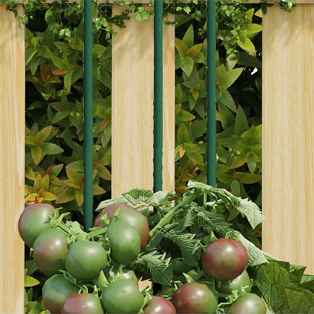 Mangloder Lot de 30 supports de plantes, verts, 60 cm, en acier avec revêtement en polypropylène, pour tomate, concombre, rose, monstera, balcon, jardinière surélevée, tuteur pour pot de fleurs et