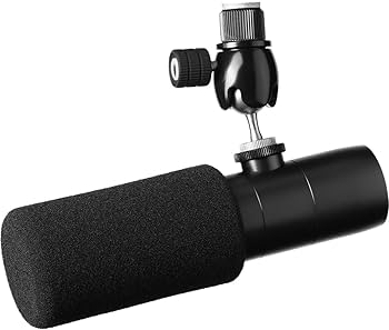 Earthworks Ethos コンデンサーマイク Amazon.com: Earthworks ETHOS Condenser Broadcast Microphone