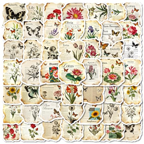 56 o[jO y[p[ g OtBeB XebJ[Zbg  lC h X[cP[X M^[  oCN ]  wbg p\R X}z m[g fJ[ Xm{ XP[g{[h ו X}zP[X p