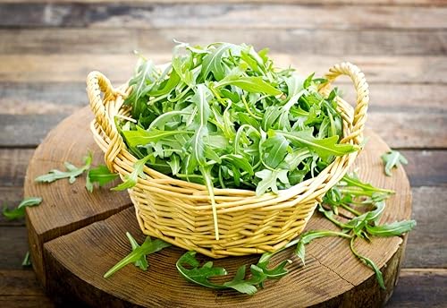 Miniatura 4 de Ensalada de rúcula Rocket Rucola más de 1000 semillas para plantar
