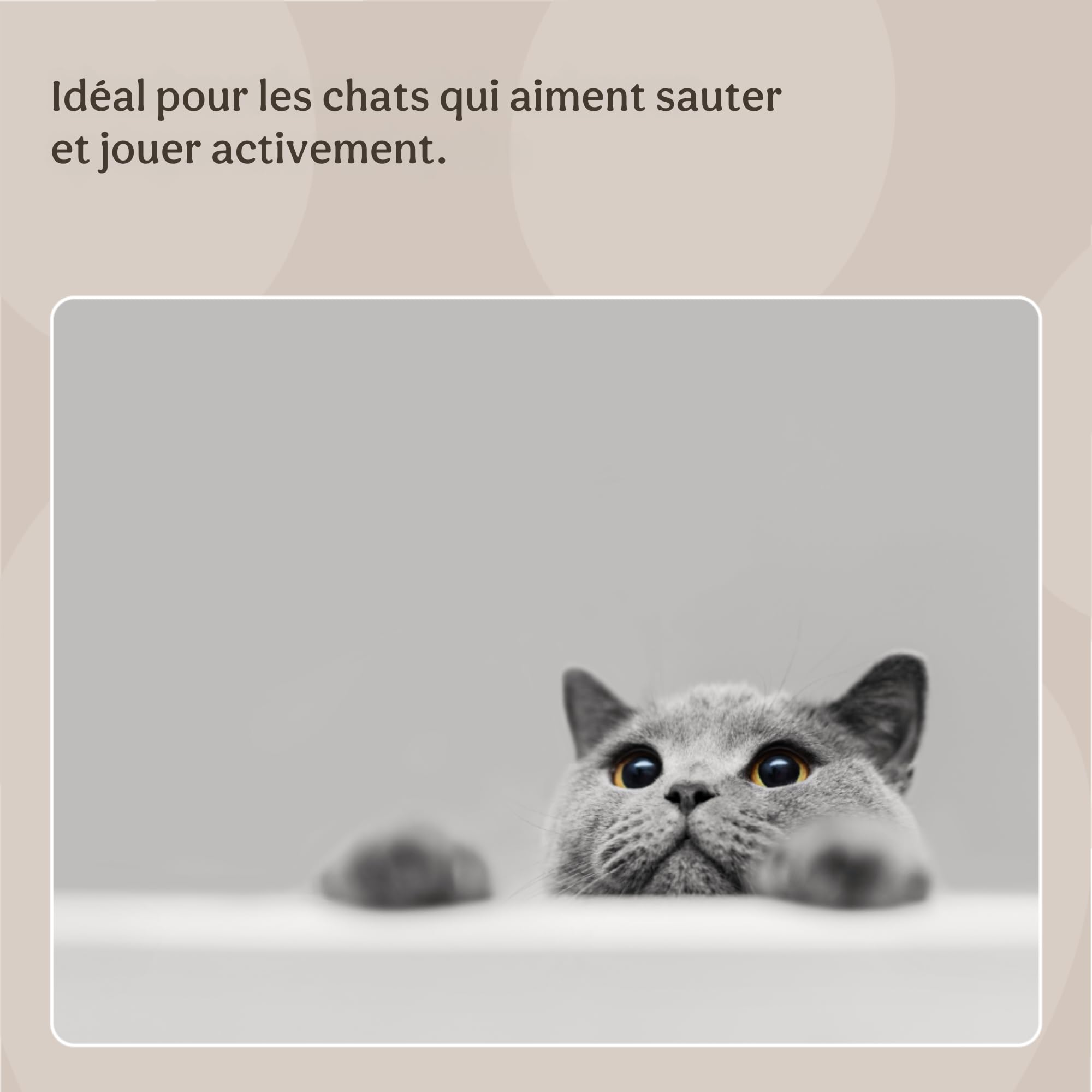 Rosewood Animal Bourré de Matatabi, Grande Taille pour Chat