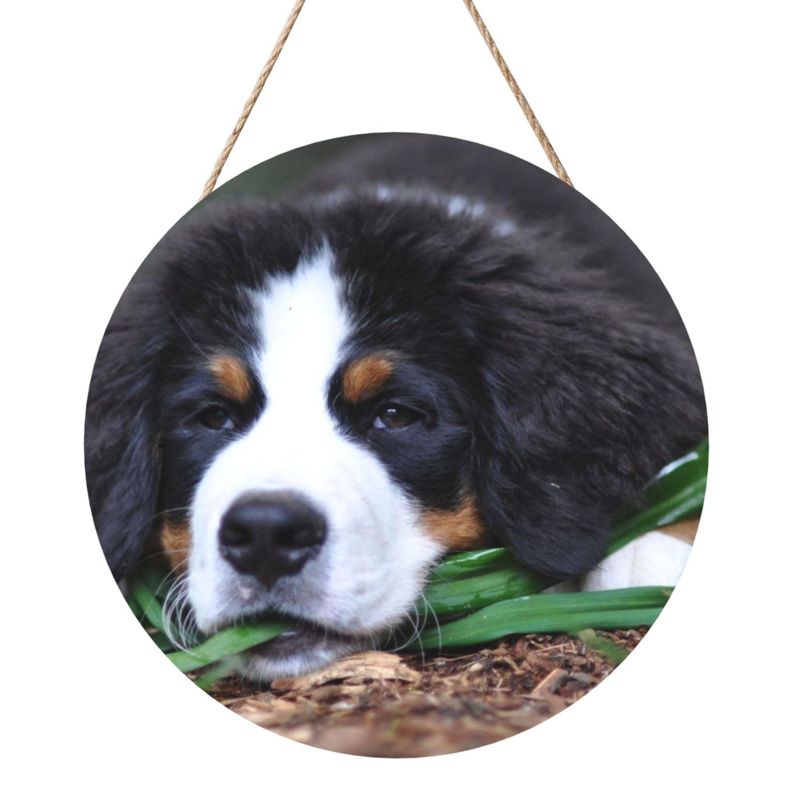 InOmak Lovely Bernese Mountain Dog, Round Wood Panel Painting 12 in, Wall Hanging Painting For Home