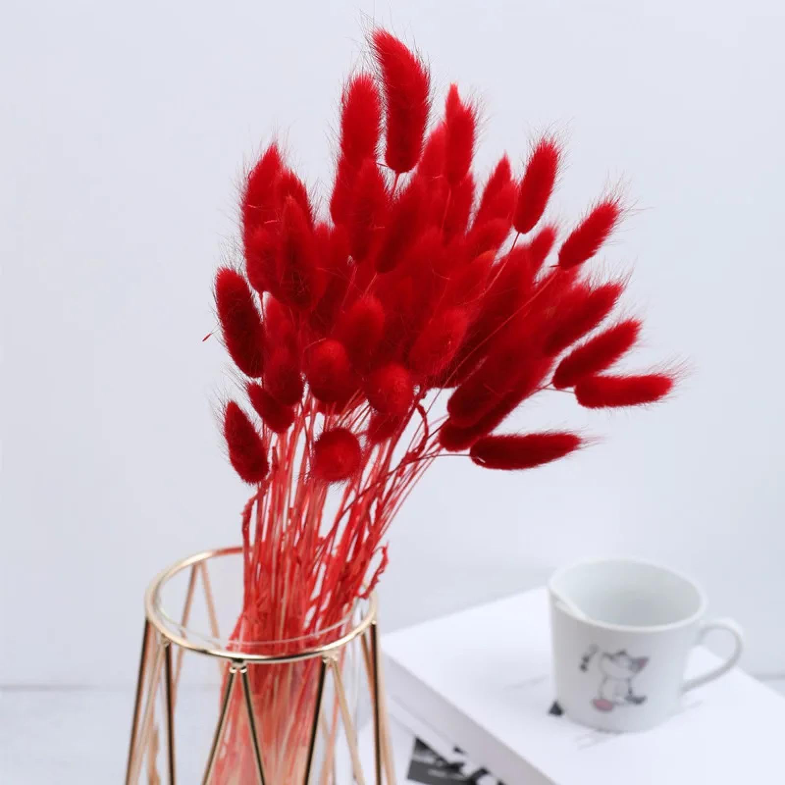Flores secas de cola de conejo,120 piezas de 45 cm de hierba de pampa seca blanca, colas de conejo, flores secas para decoración de interiores, decoración bohemia de la boda del hogar, color rojo