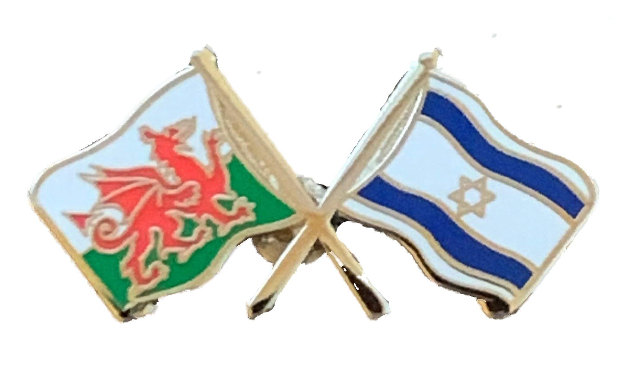 Wales & Israel Flags Friendship Courtesy Enamel Lapel Pin Badge T458