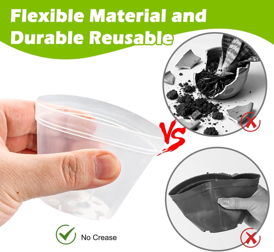 8 Cell Nursery Pot Trays 10 Pack (12"x6"x2") with 2.5 inch (6.5CM) Round Seedling Pots 80pcs (Clear), Plastic Seed Starter Tray with Removable Drain Holes for Carrying and Holding Plant Pot - Image 4