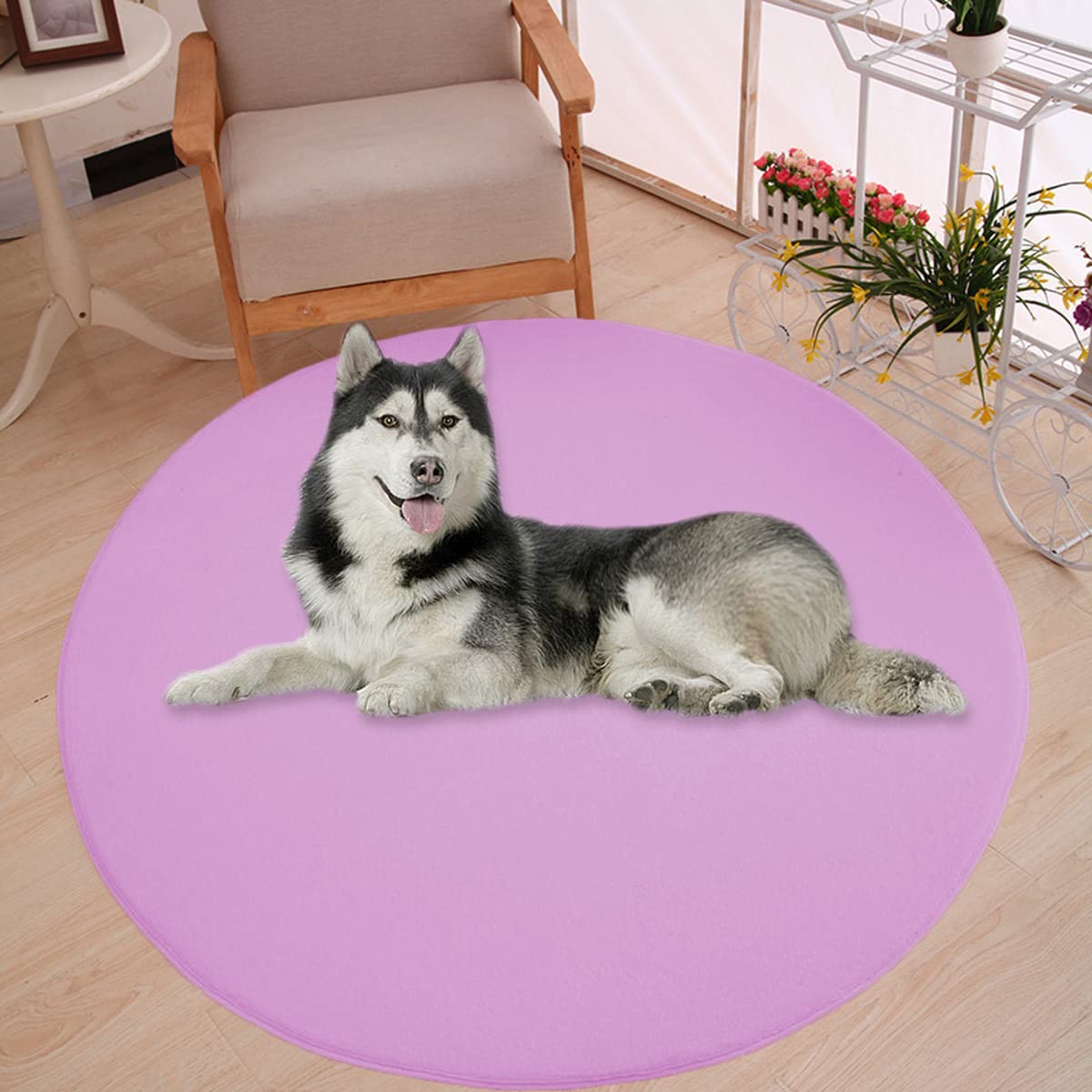 Waigg Kii Large Dog Bed Mat,Coral Velvet Soft Round Carpet Area Rug Pet Mat,Anti-Anxiety Dog Mattress for Small Medium Large Cats Dogs (100CM,Purple)