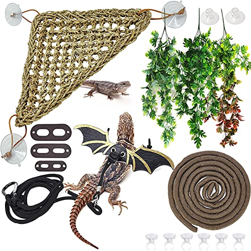 Best Bearded Dragon Decor For Tank